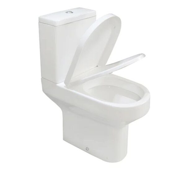 Opened Water Closet on a white background