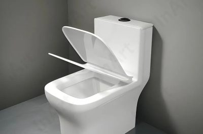 WC in a room